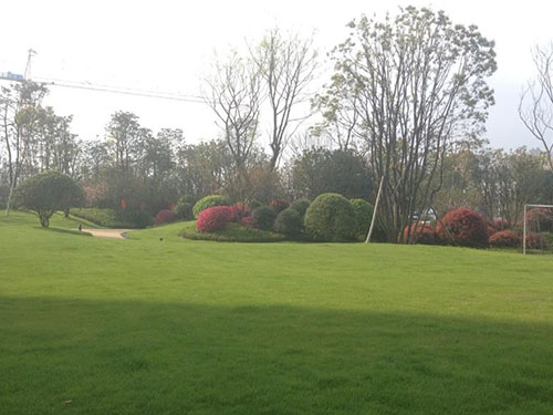 園林景觀設(shè)計